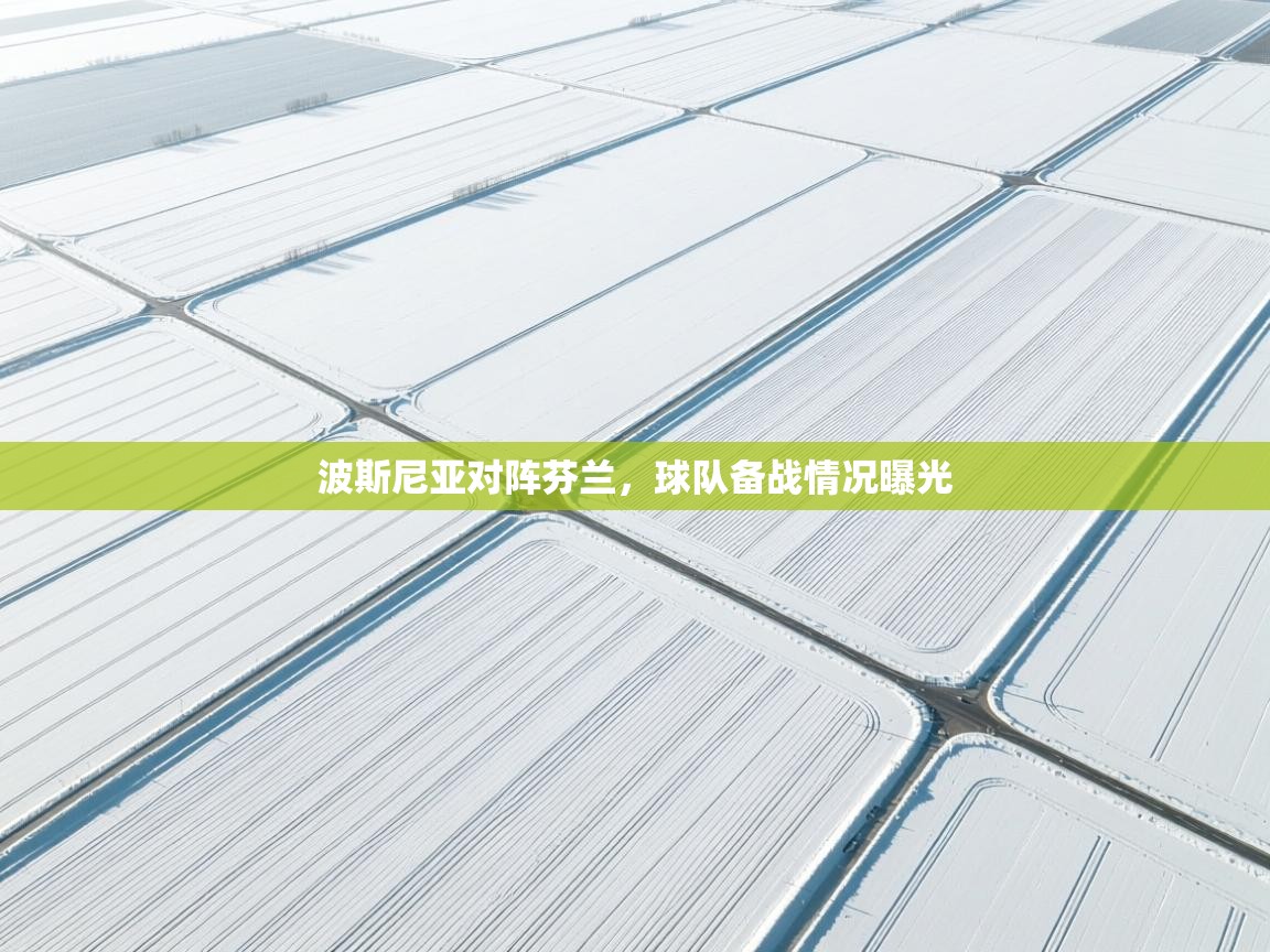 蓝鲸体育app安卓版-波斯尼亚对阵芬兰，球队备战情况曝光